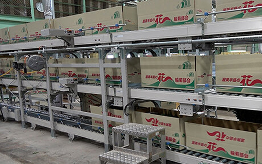 3段構成のオークラコンベヤ。上2段が空箱、最下段が実箱搬送ライン