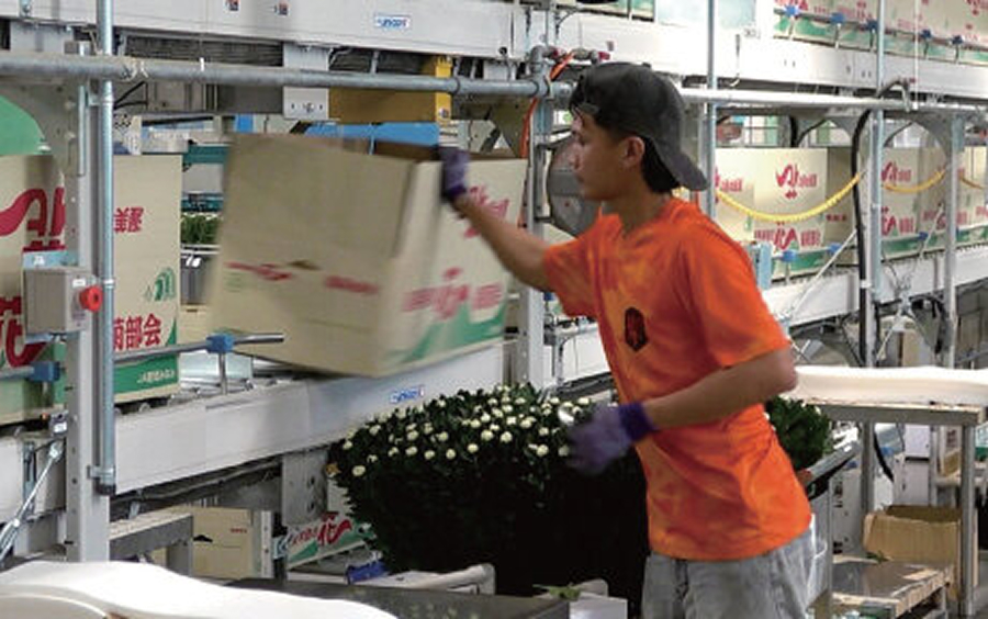 空箱の取り出し部はストッパ制御でフリー状態になっているため簡単に取り出せる