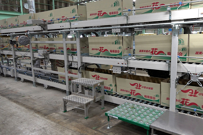 自動化で国内最大の出荷量に対応。オークラコンベヤを新規導入。